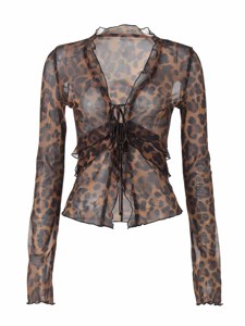 Leopard Mesh Long Sleeve Top